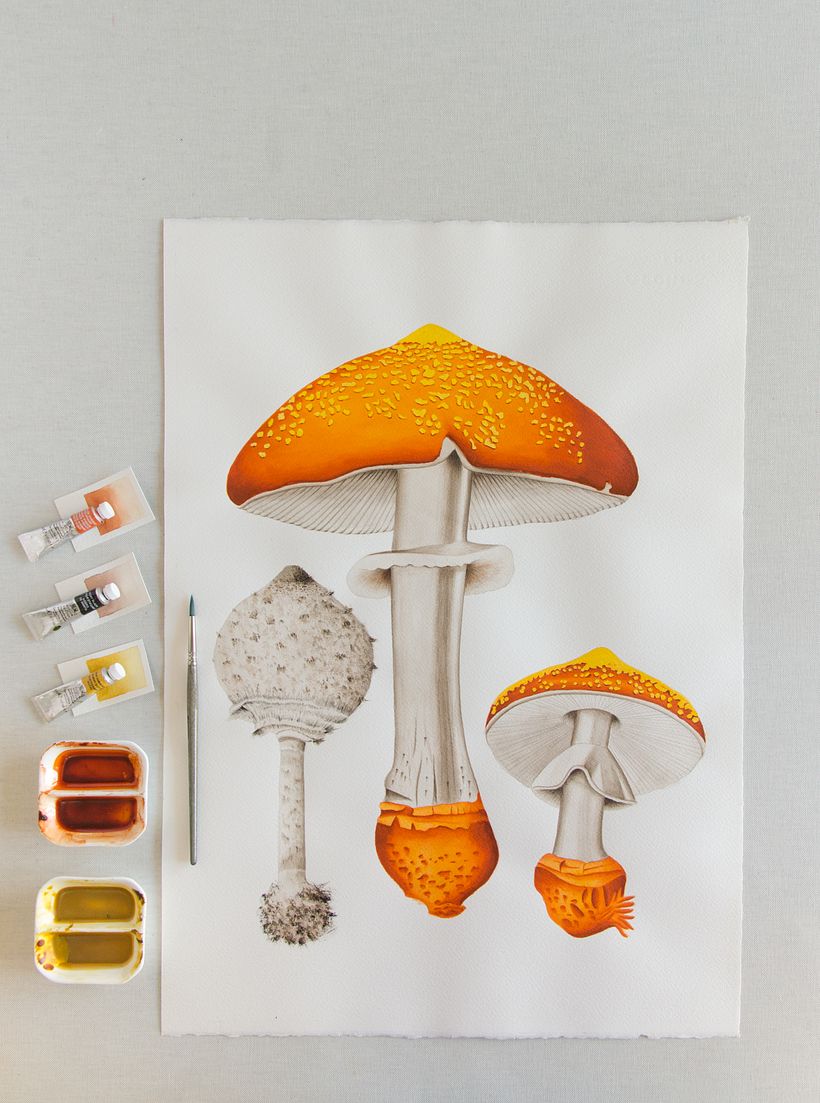 01 Desarrollo de ilustraciones para interior de hotel 3