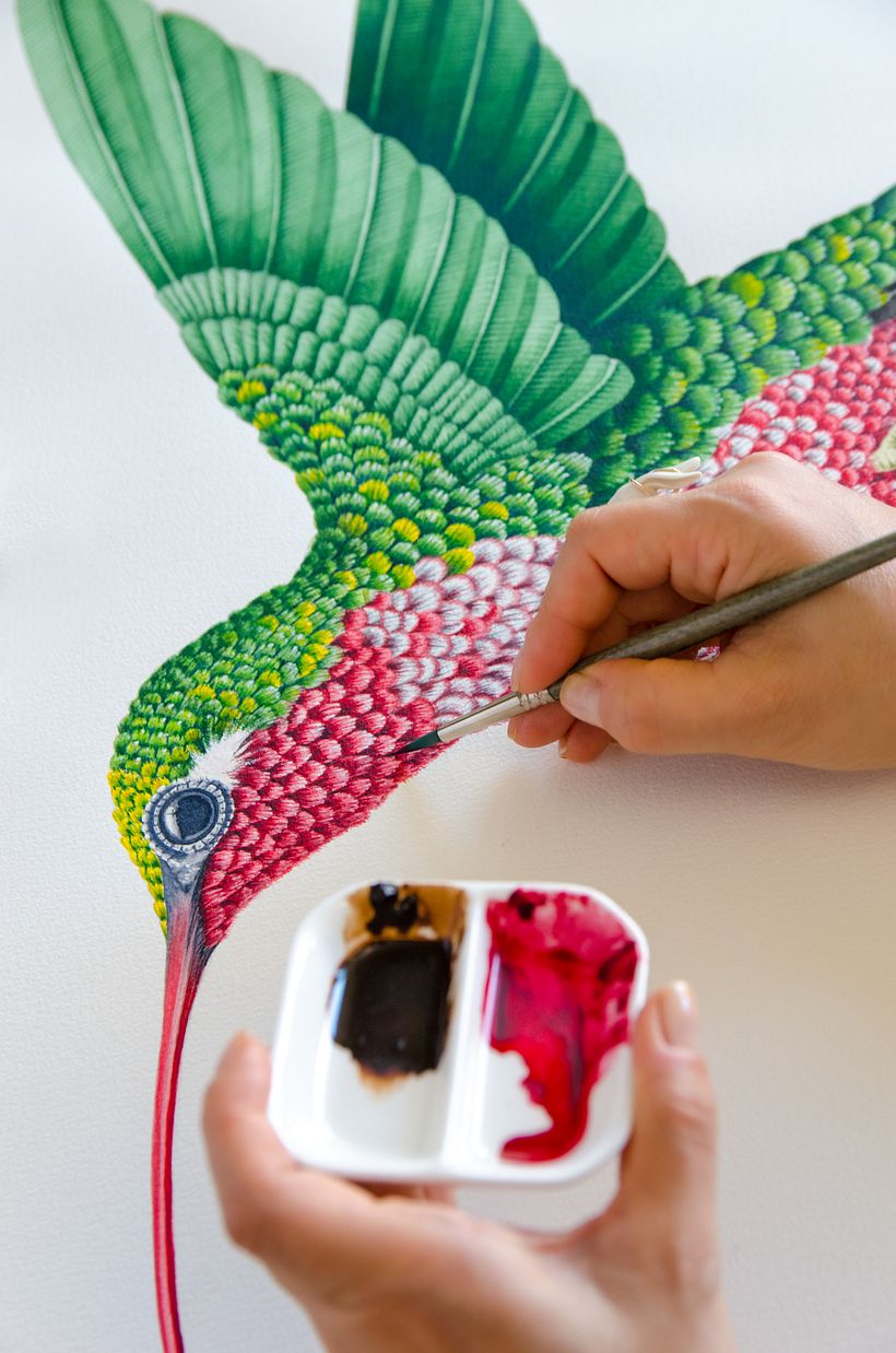 01 Desarrollo de ilustraciones para interior de hotel 4