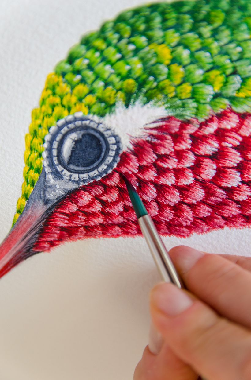 01 Desarrollo de ilustraciones para interior de hotel 5