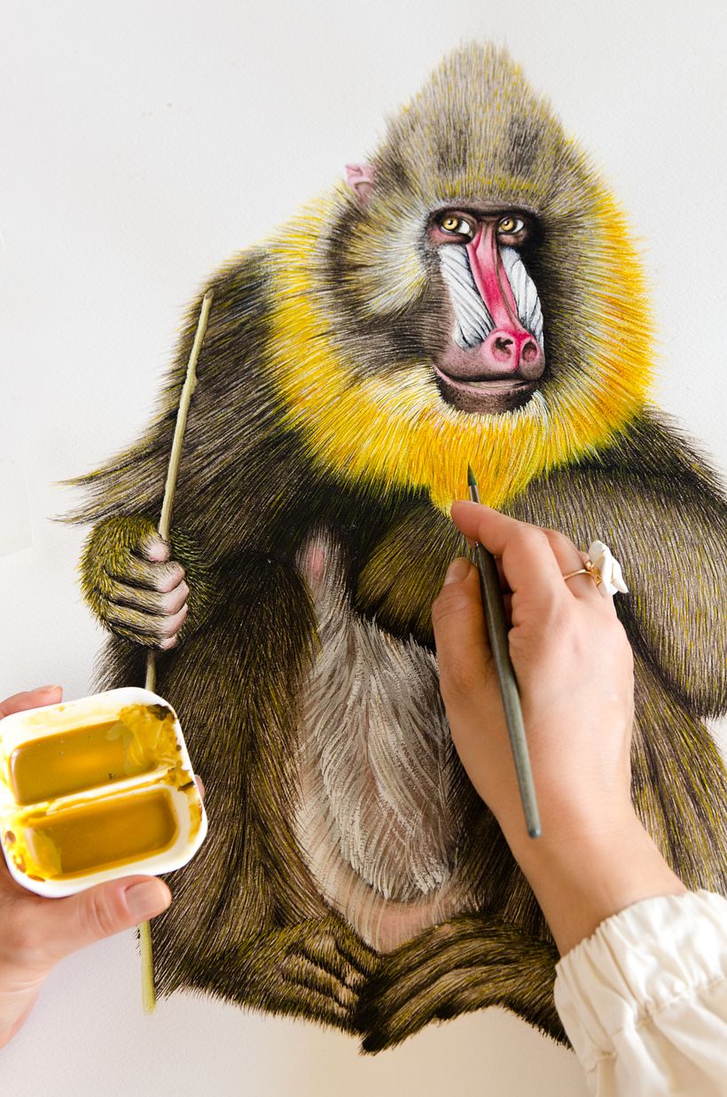 01 Desarrollo de ilustraciones para interior de hotel 6