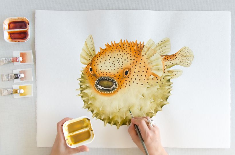 01 Desarrollo de ilustraciones para interior de hotel 8