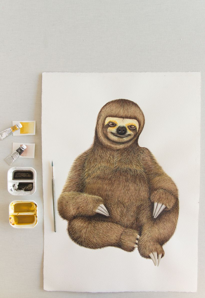 01 Desarrollo de ilustraciones para interior de hotel 11