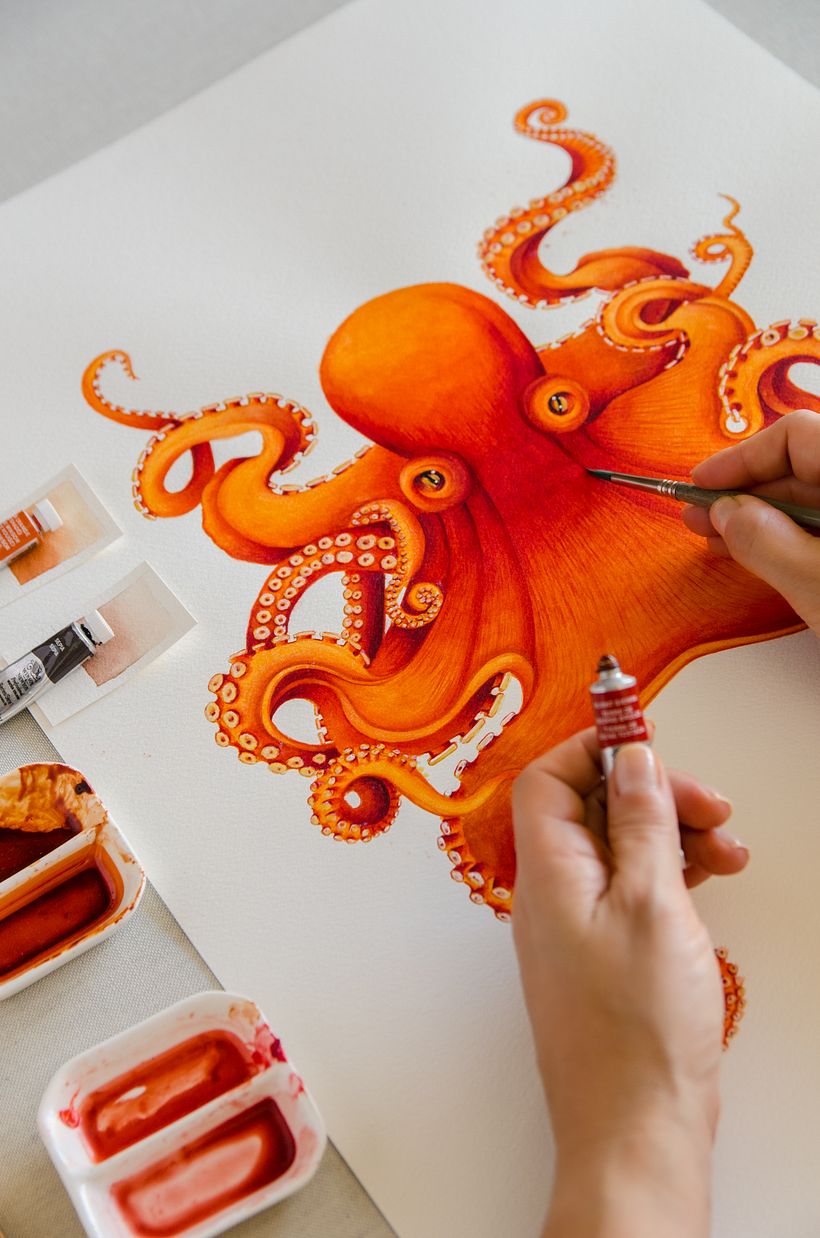 01 Desarrollo de ilustraciones para interior de hotel 12