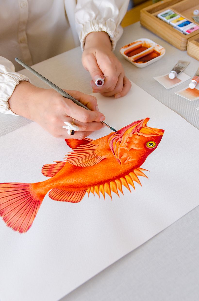 01 Desarrollo de ilustraciones para interior de hotel 13