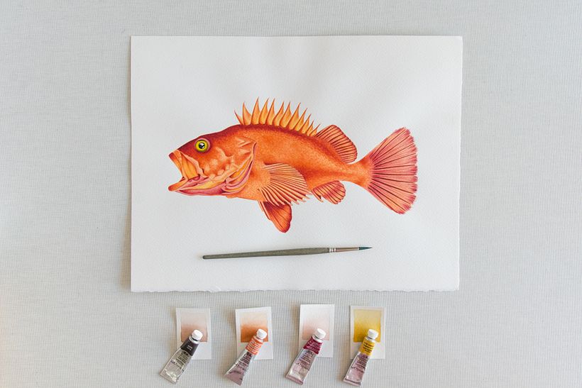 01 Desarrollo de ilustraciones para interior de hotel 14