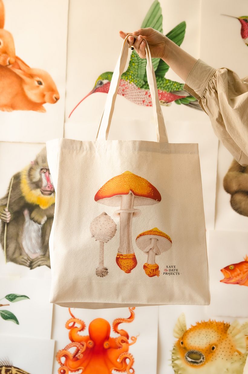 01 Desarrollo de ilustraciones para interior de hotel 16