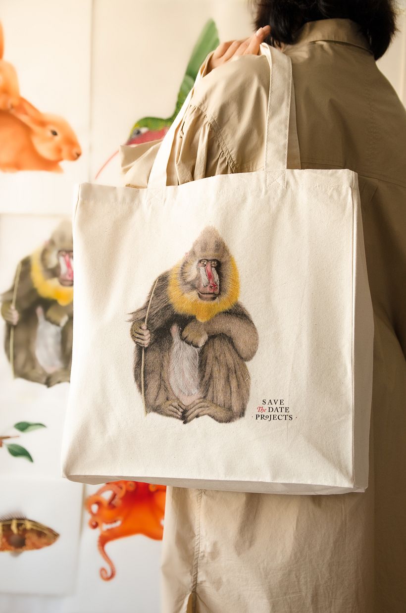 01 Desarrollo de ilustraciones para interior de hotel 17