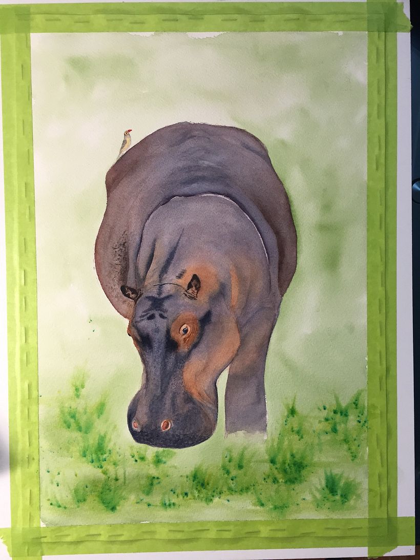 My project in Expressive Animal Portraits in Watercolor course 5