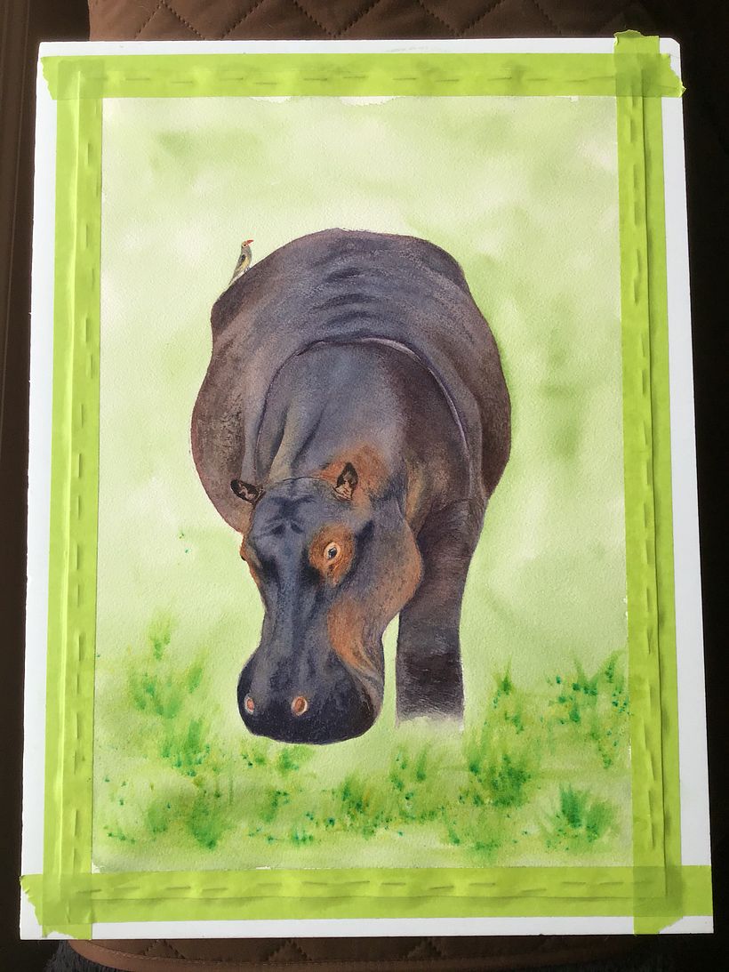 My project in Expressive Animal Portraits in Watercolor course 6