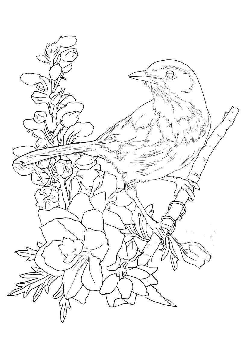 My project in Naturalist Illustration with Ballpoint Pen - Scrub jay with delphinium 1