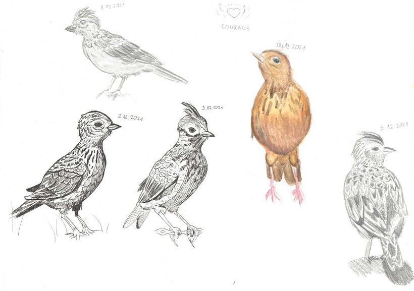 My project in Daily Sketching for Creative Inspiration course 2