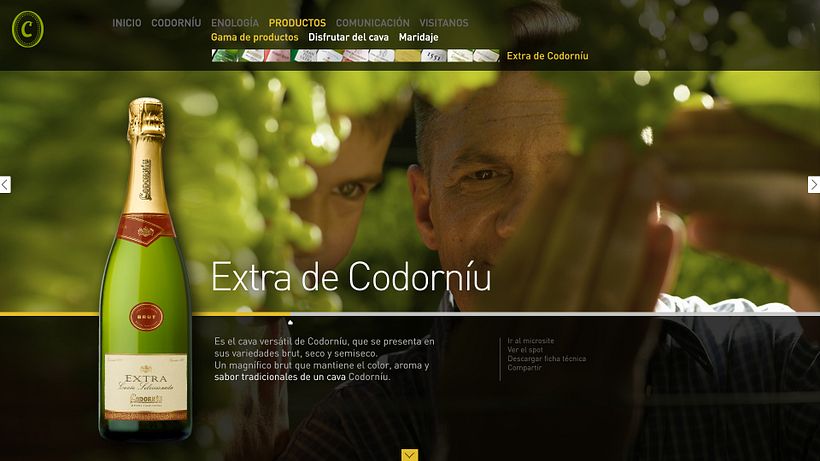 Codorníu 18
