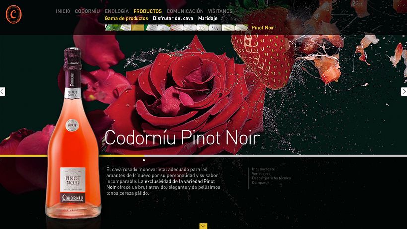 Codorníu 19
