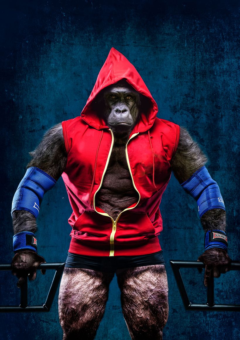 gorilla lifter 1
