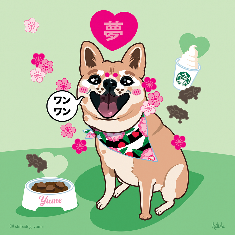 Yume everyday portrait with a bowl of delicious food, lamb snacks and a Puppuccino!