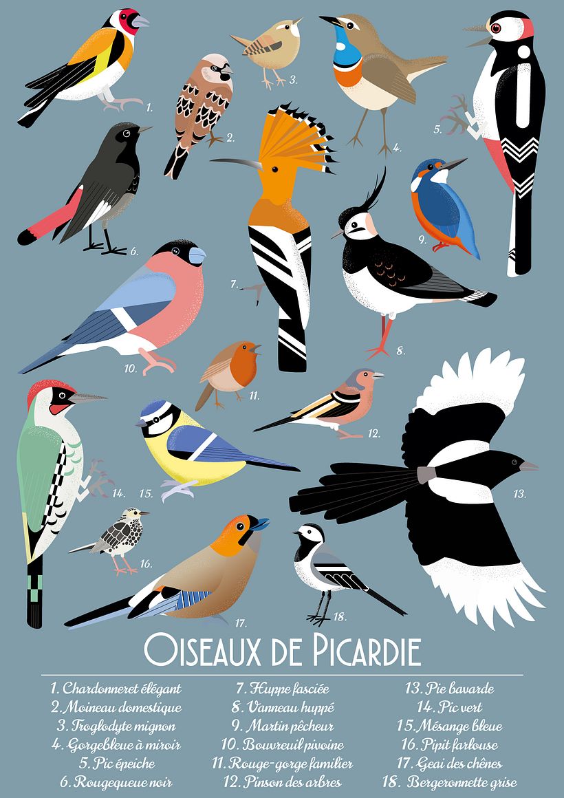 My project in Wildlife Illustration for Children's Books course 3