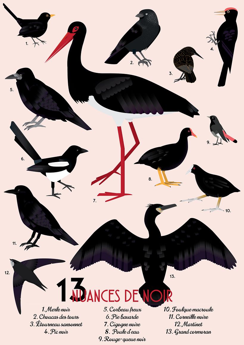 Some black birds.
