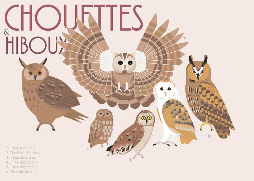 "The owls are not what they seem" 