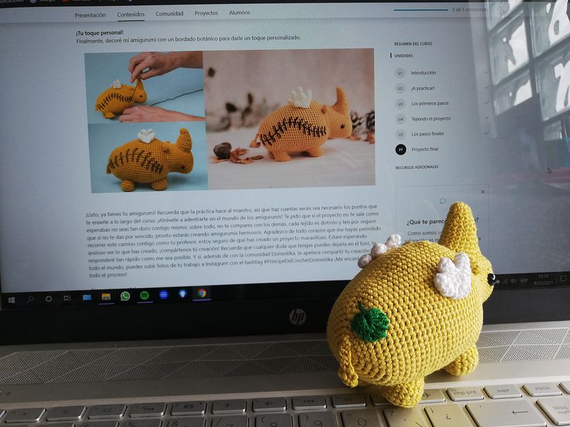 Mi Proyecto del curso: Diseño y creación de amigurumis 3
