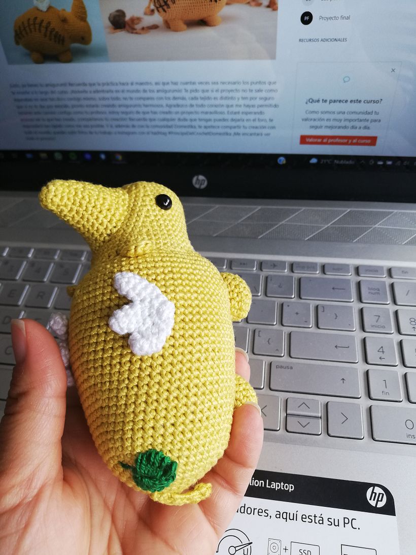 Mi Proyecto del curso: Diseño y creación de amigurumis 2