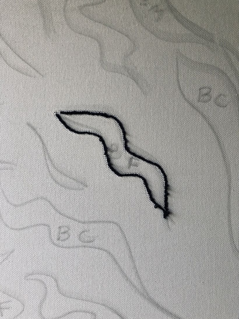 Premières formes