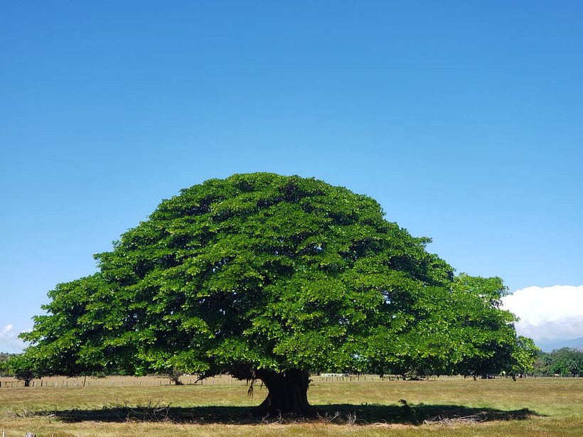 Mi Proyecto del curso: Fotografía y vídeo profesional con tu móvil 11