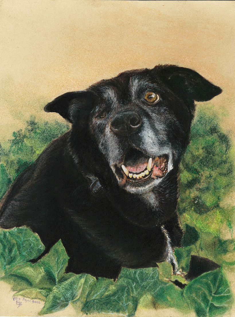 Maggie