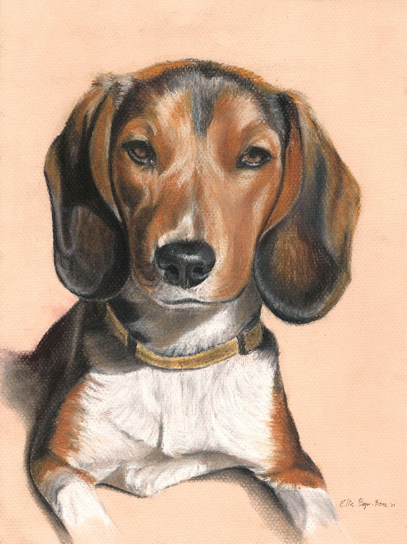 Hazel