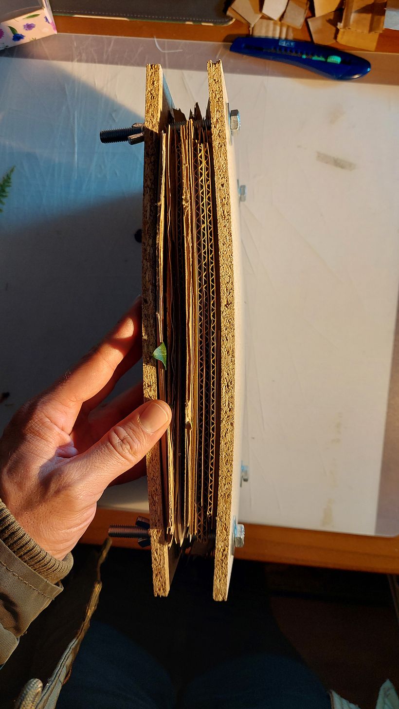 Prensa de plantas e flores 4