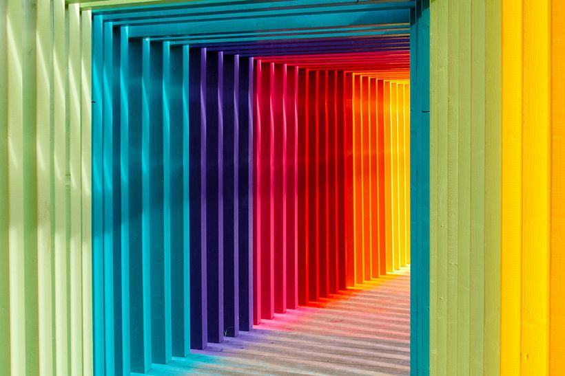 The colors of the transition to normality. Unsplash.