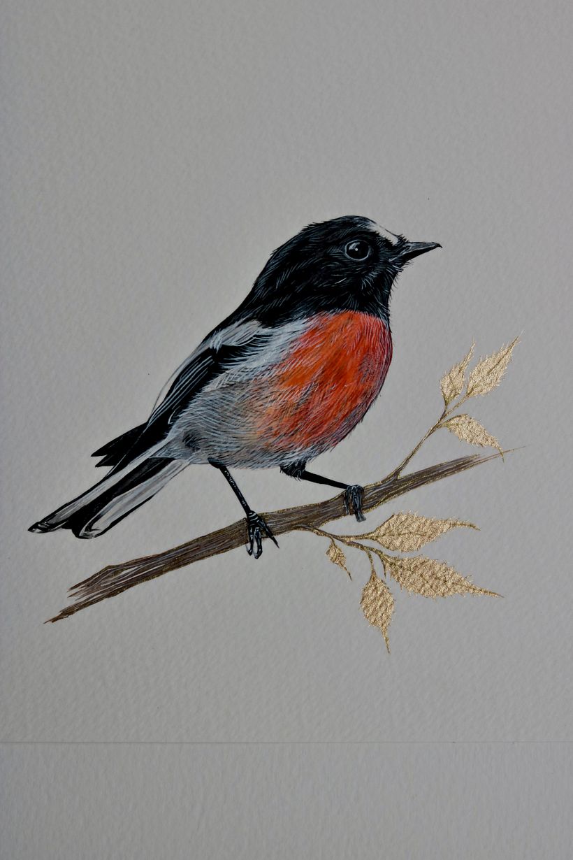 Delicate birds - Ilustración tradicional