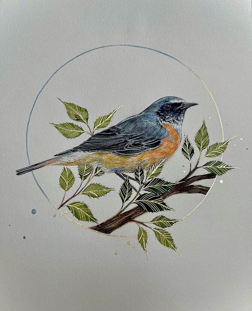 Delicate birds - Ilustración tradicional