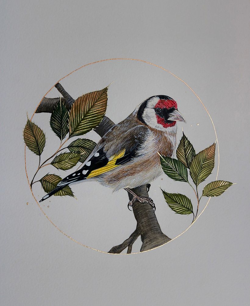 Delicate birds - Ilustración tradicional