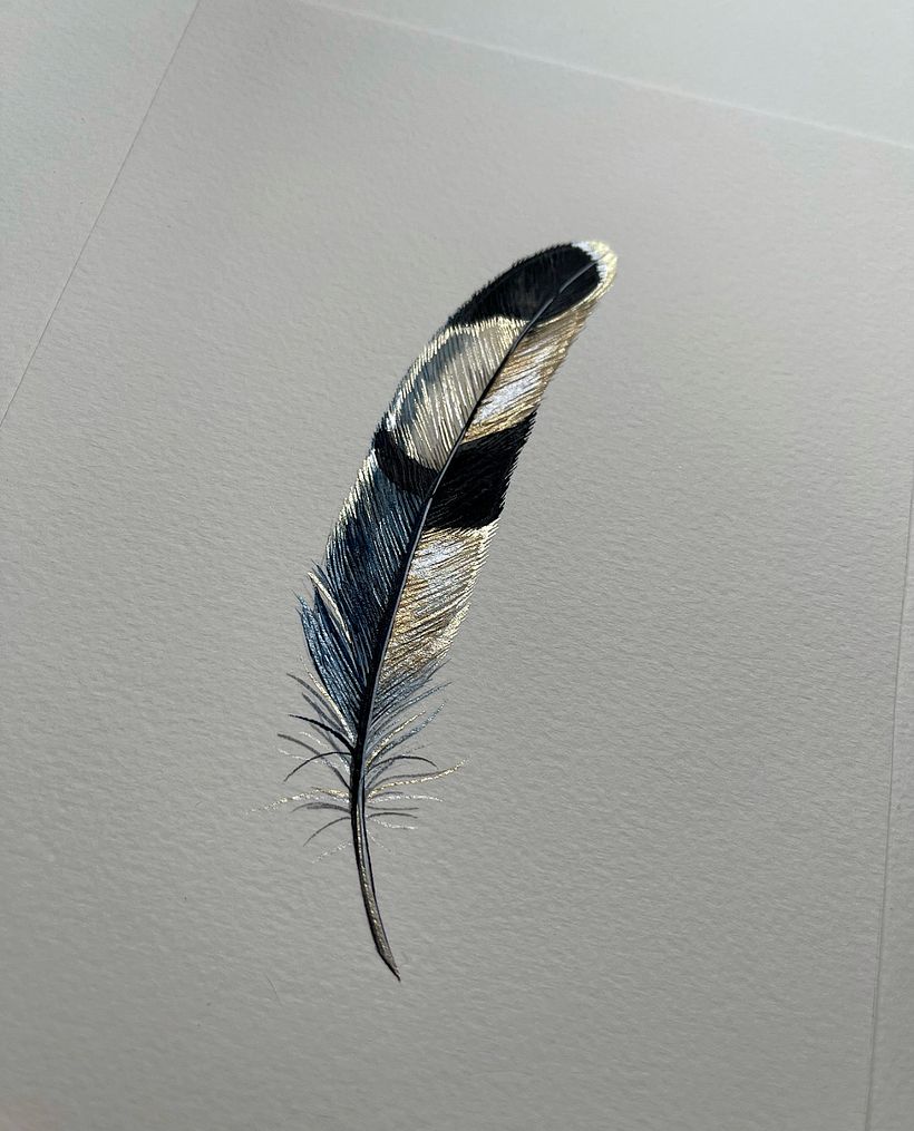 Shiny feathers  - Ilustración tradicional