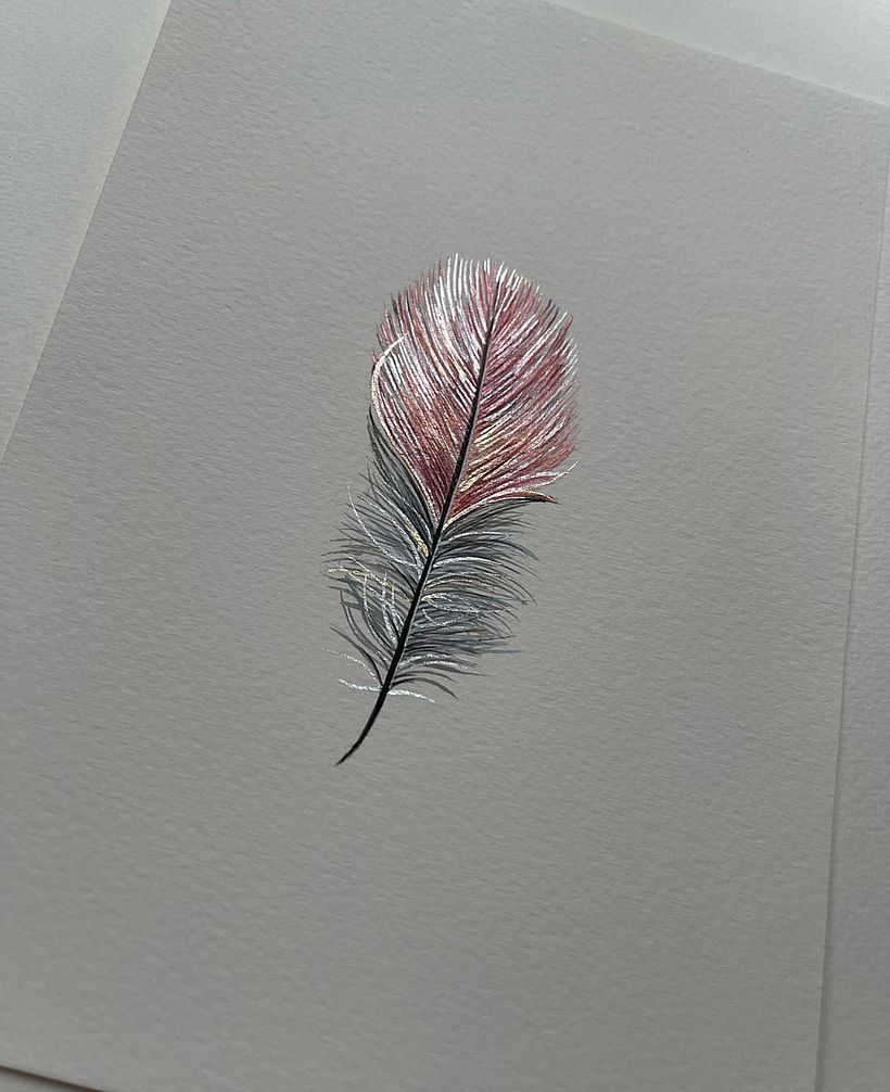 Shiny feathers  - Ilustración tradicional