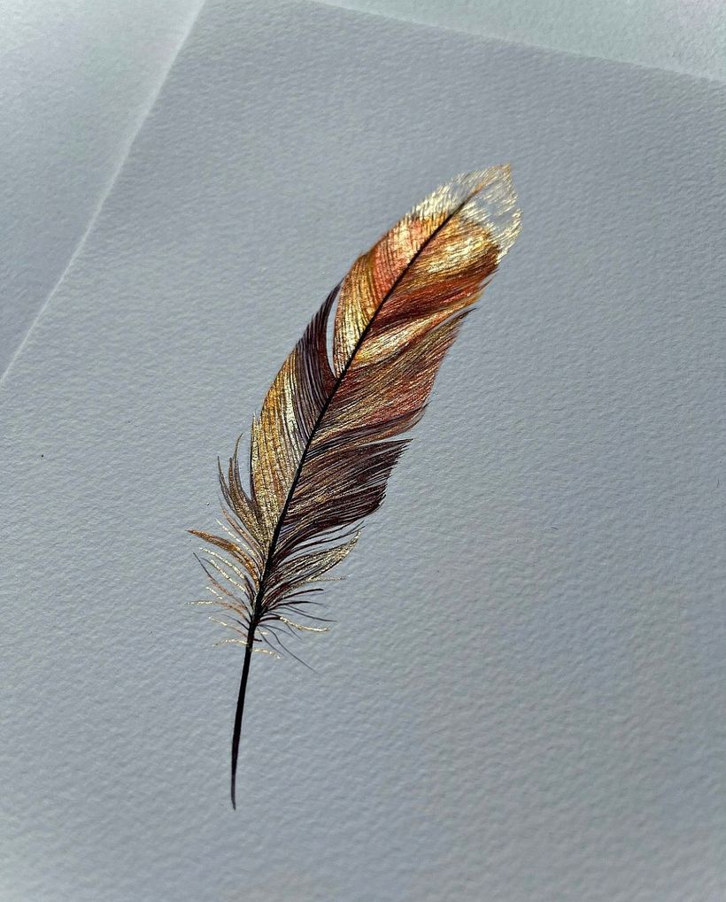 Shiny feathers  - Ilustración tradicional