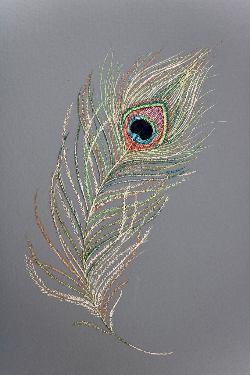 Shiny feathers  - Ilustración tradicional