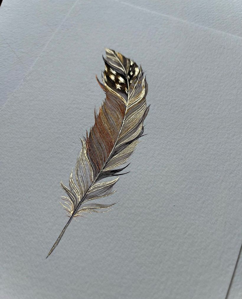 Shiny feathers  - Ilustración tradicional