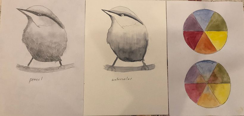 My project in Artistic Watercolor Techniques for Illustrating Birds course 1