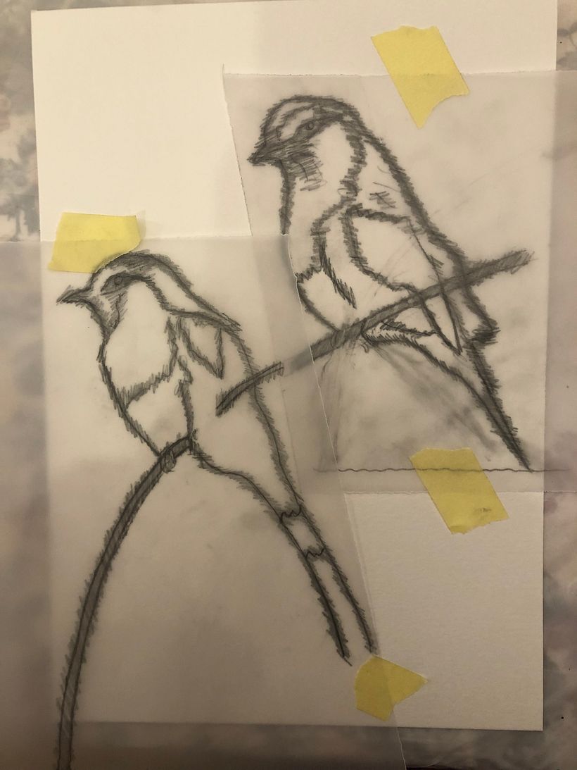 My project in Artistic Watercolor Techniques for Illustrating Birds course 3