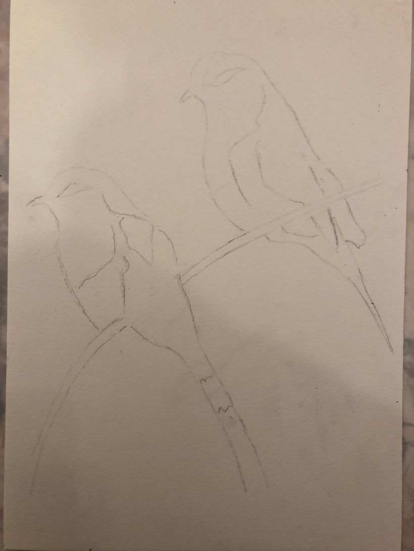 My project in Artistic Watercolor Techniques for Illustrating Birds course 4