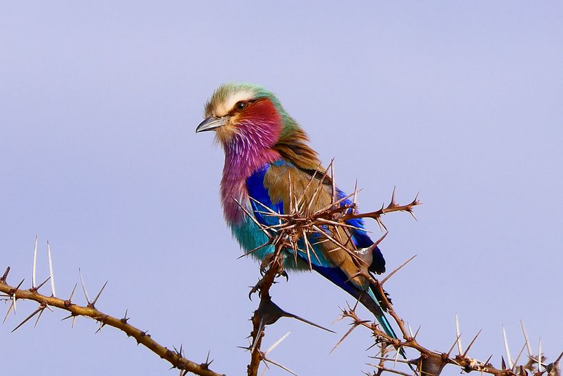 Photograph by Bradley Feller