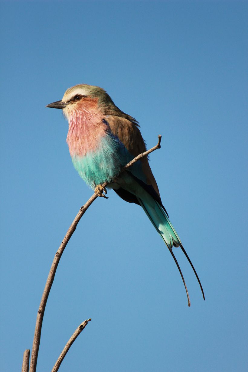 Photograph by Madiba.de African inspirations