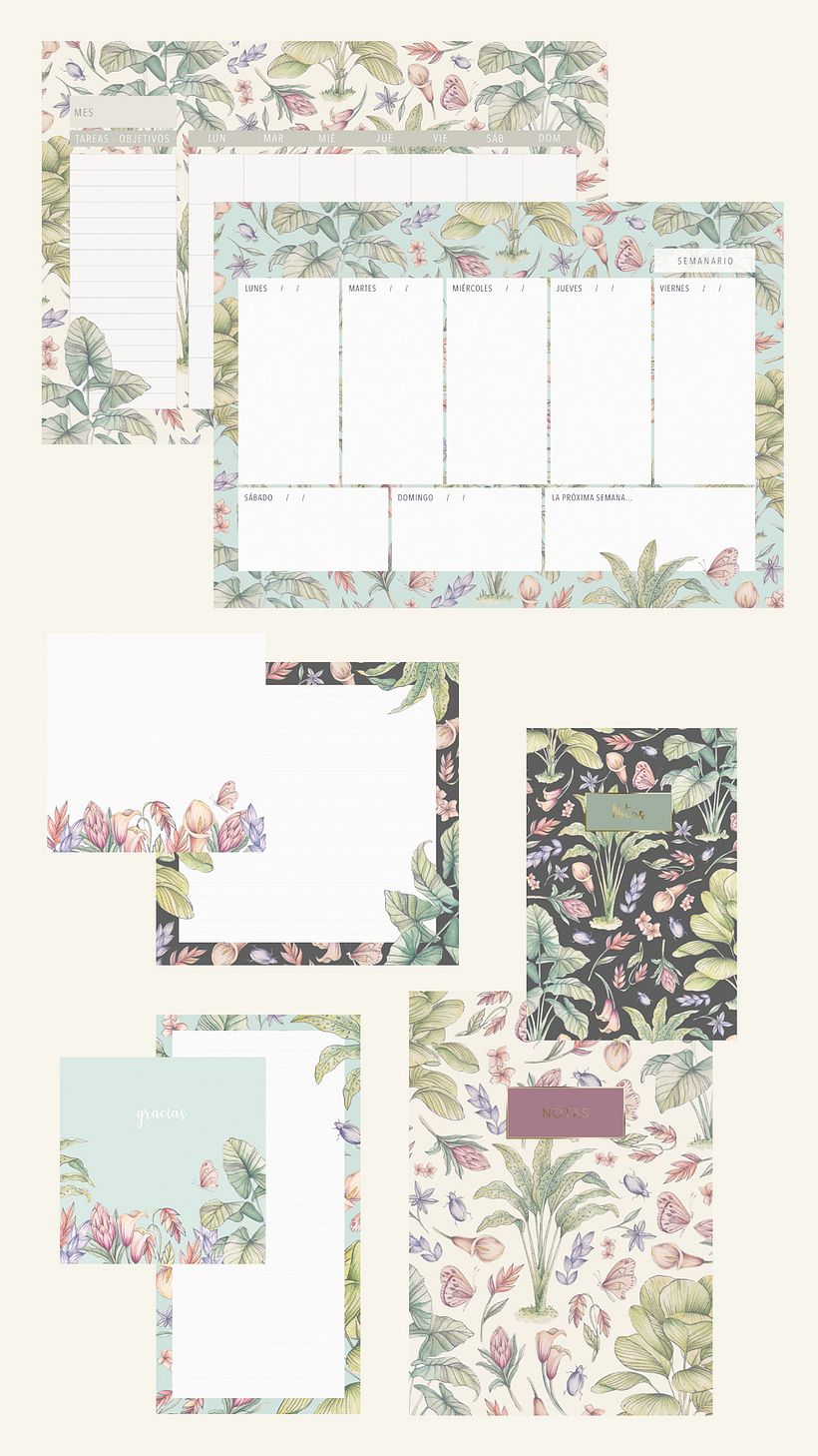 Colección de Papelería 8