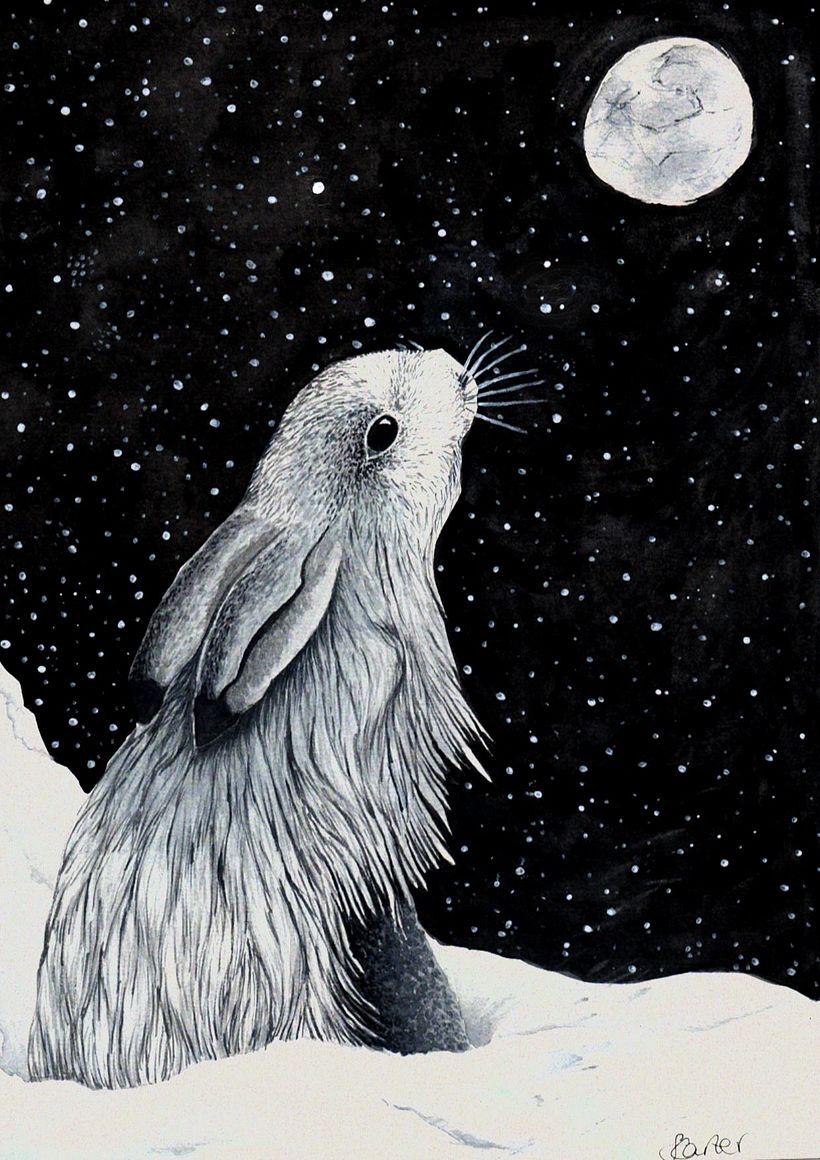 Arctic Hare 1