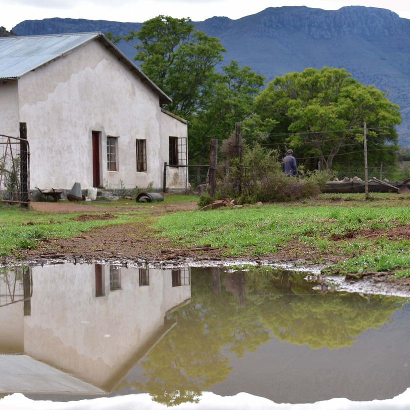 The tranquility of the farm