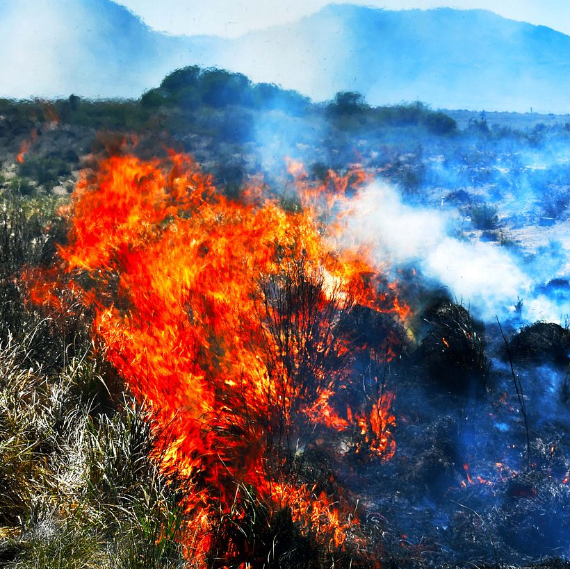 Fire destroyed