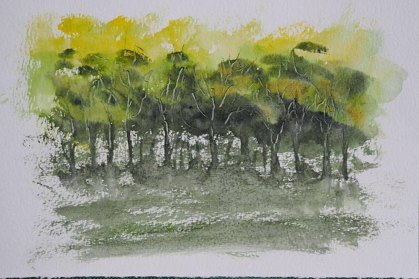 Meu projeto do curso: Paisagens naturais em aquarela 3