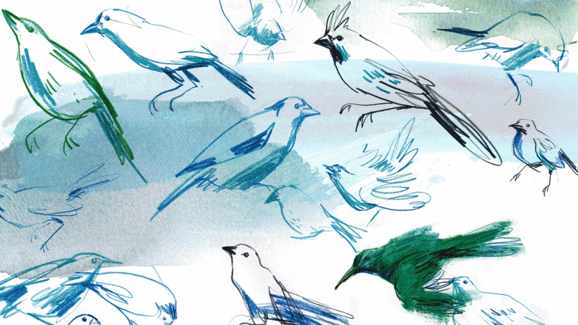 Illustrator and artist Laura McKendry shares tips for painting with unconventional materials to add texture.