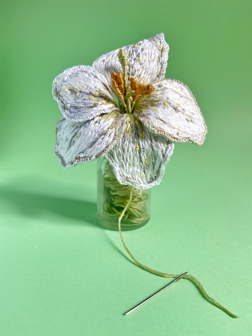 Botánica PLOP 9
